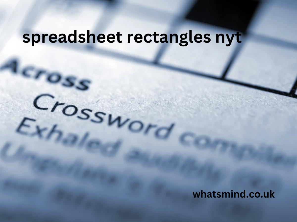 spreadsheet rectangles nyt