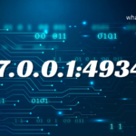 Understanding IP Addresses 127.0.0.1:49342