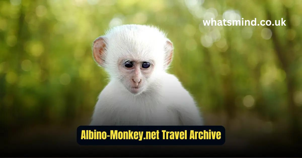 albino-monkey.net travel archives