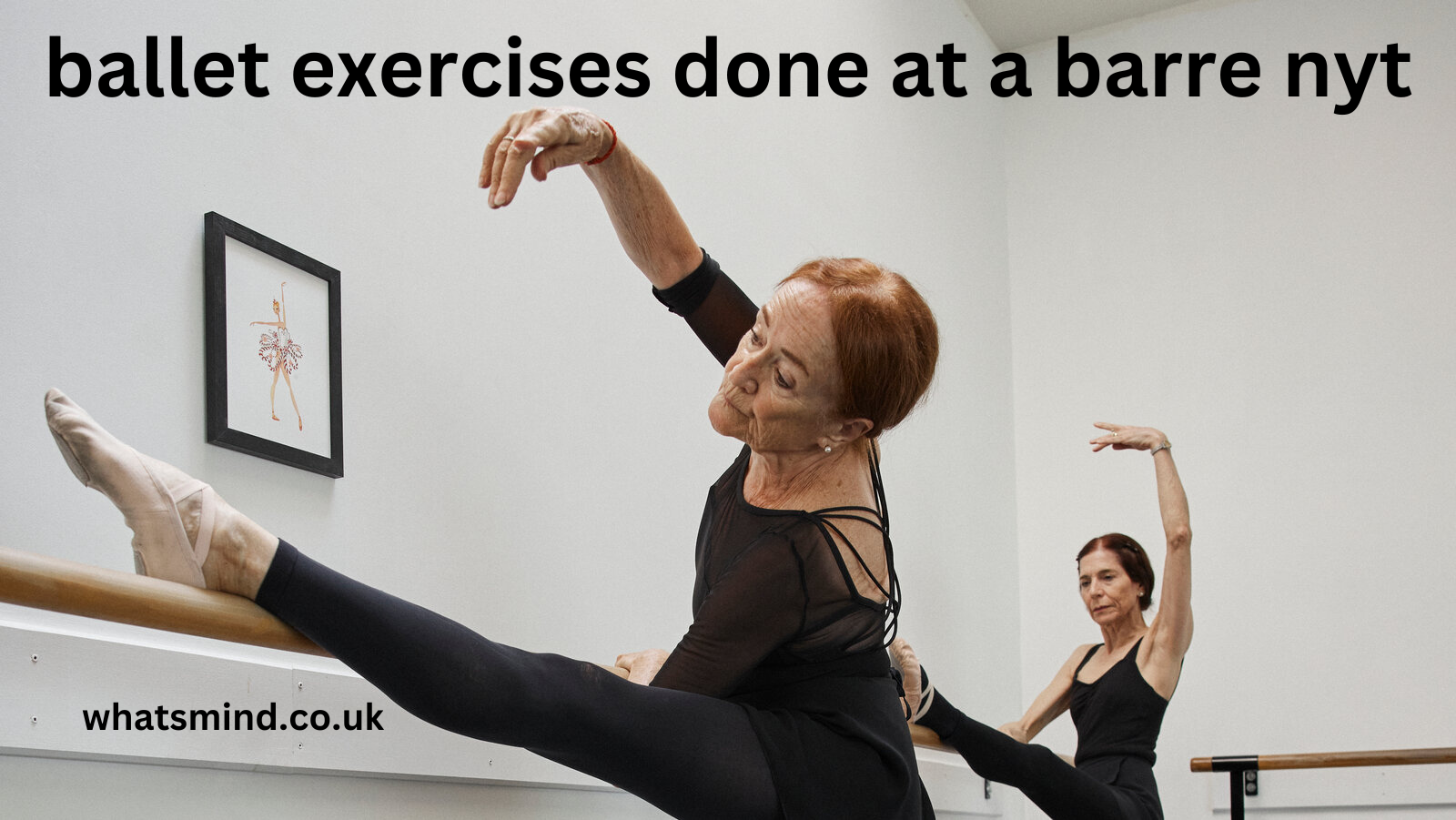 ballet exercises done at a barre nyt