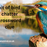 bit of bird chatter crossword clue