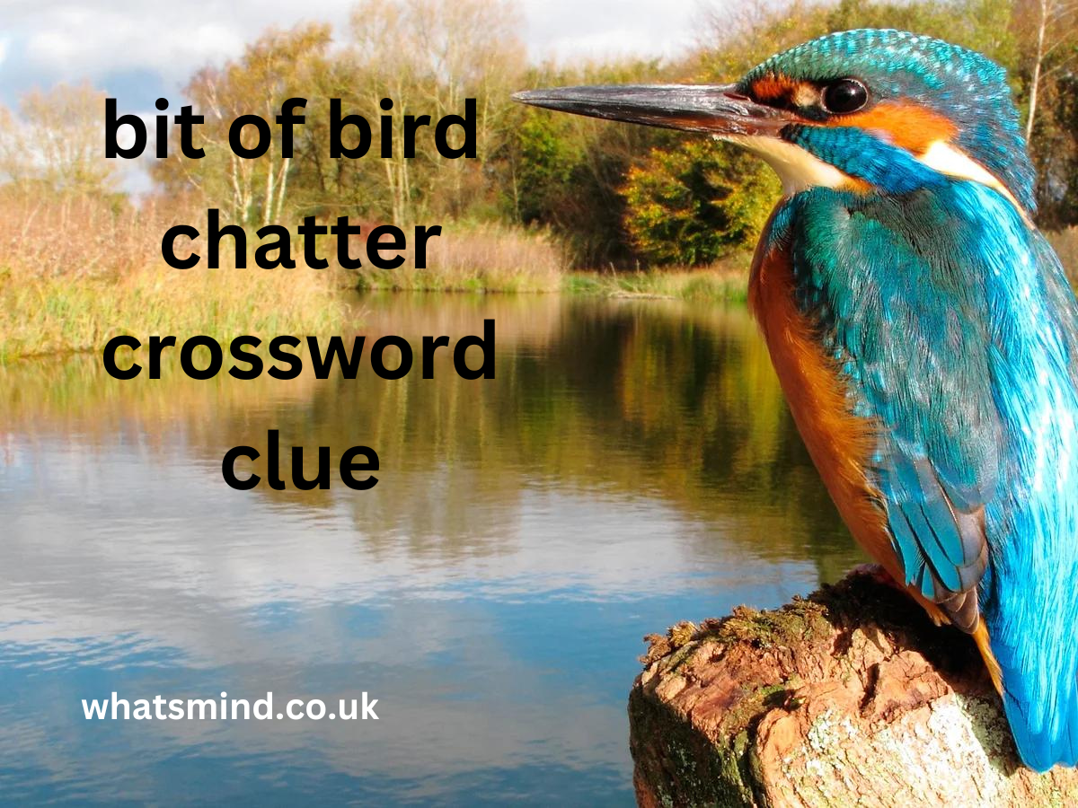 bit of bird chatter crossword clue