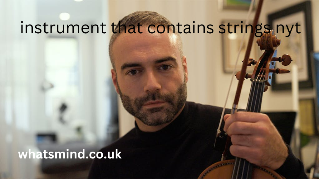 instrument that contains strings nyt