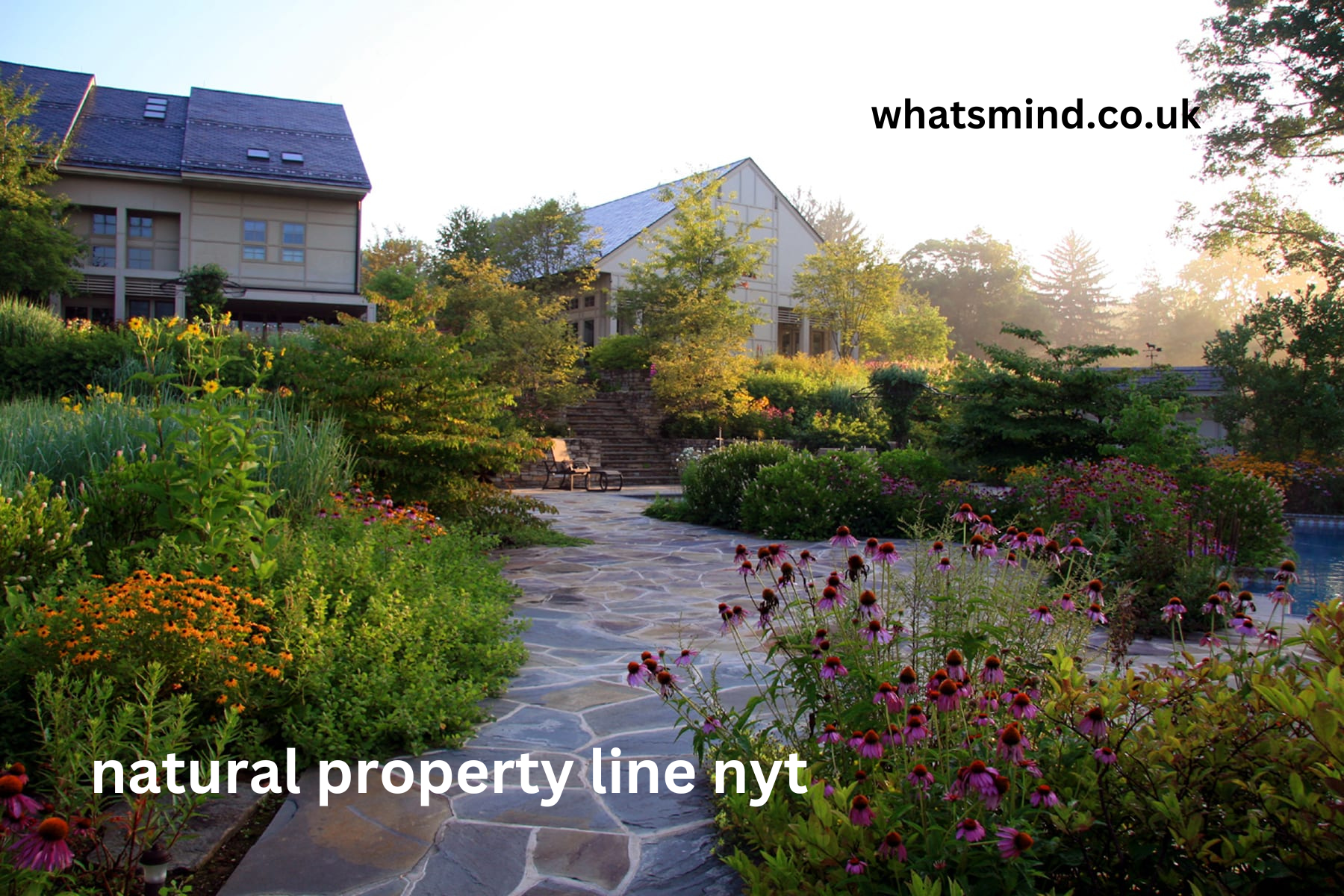 natural property line nyt