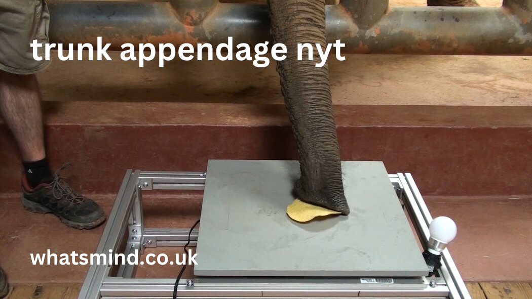 trunk appendage nyt