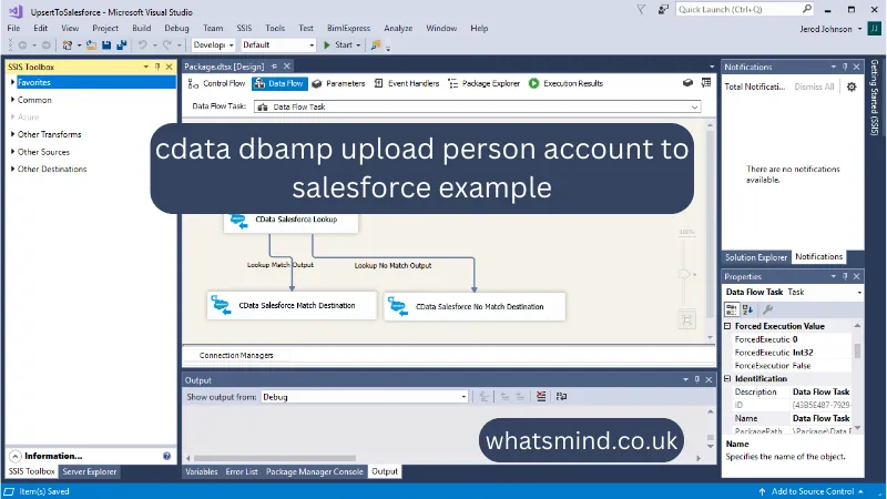 cdata dbamp upload person account to salesforce example