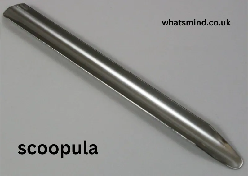 scoopula