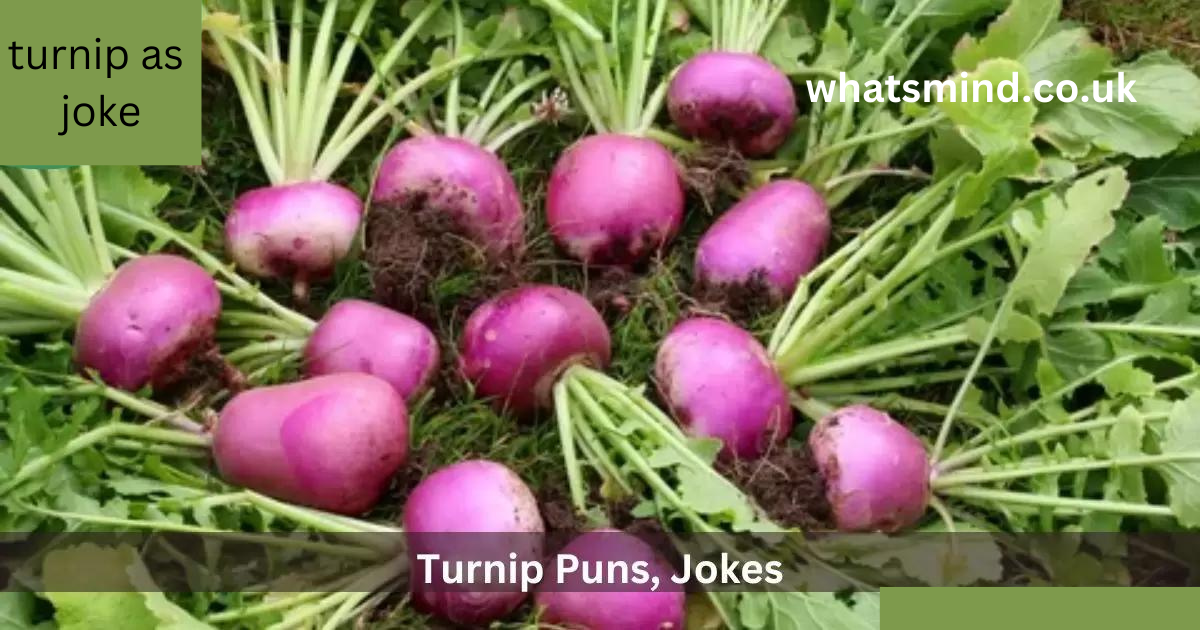 turnip as joke